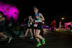 BIB: 
                            <button type="button" onclick="openModal(26552671)" class="btn btn-primary btn-sm float-right btn-popup" data-toggle="modal" data-target=".modal-high-quality">
                        <i class="fas fa-shopping-cart"></i> Add to Cart
                    </button>
                                            <button type="button" onclick="isThisMe(26552671, true)" class="btn btn-success btn-sm float-right btn-popup btn-isme hidden" data-toggle="tooltip" data-placement="bottom" title="นี่คือรูปของคุณใช่ไหม คลิกที่นี่เพื่อเอาเข้าอัลบั้ม">
                        <i class="fas fa-plus"></i> Add to album
                    </button>
                    <button type="button" onclick="isThisMe(26552671, false)" class="btn btn-warning btn-sm float-right btn-popup btn-isnotme hidden">
                        <i class="fas fa-ban"></i> Remove from album
                    </button>